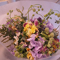 パンジーのブーケ