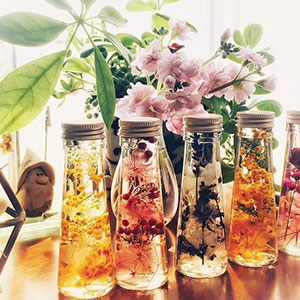 ハーバリューム