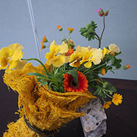 フレッシュとドライ