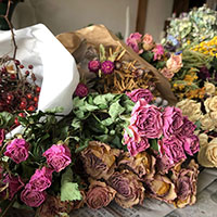 ドライフラワー