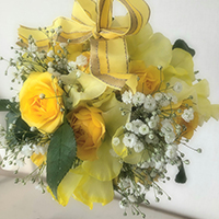 スノーボールボケー