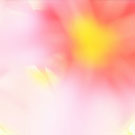 リューココリネ