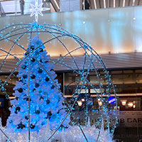 イルミネーション