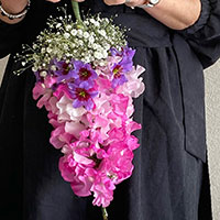 パラソルボケー