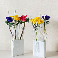 ミツマタのくばり