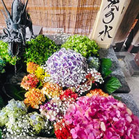 花手水　諏訪神社