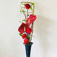 ヴァーティカルライン