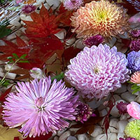 花手水（大谷地神社）