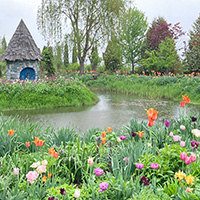 上野のファーム