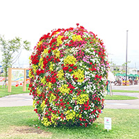 ガーデンフェスタ