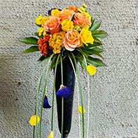 シャワーボケー