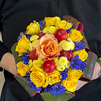 タズィマズィボケー