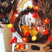 ほうずきランプ