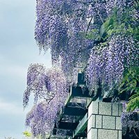 前田森林公園2023