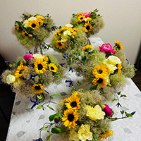 ひまわりのロココボケー