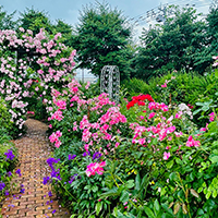 ロイズガーデン