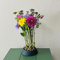 多種多色のデザイン