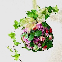 スノーボールボケー