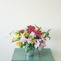 アリストロメリア