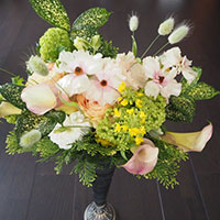 ラナンキュラス（ラックスアリアドネ）