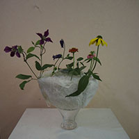 講師研究科2級　植物と紙